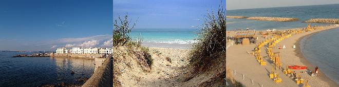 Guided, Supported, Escorted and Independent Self-guided Walking Holidays