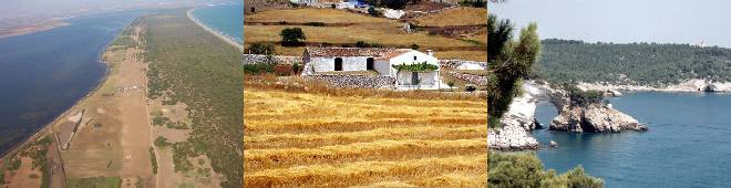 Guided, Supported, Escorted and Independent Self-guided Walking Holidays