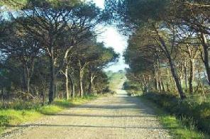 Xtrallusion photo library of independent, self-guided walking and sightseeing holidays in Italy. Pictures, images, photos and photographs taken along the way of this 1-day walking itinerary, to give you a visual impression of the day's walk.