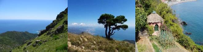 Guided, Supported, Escorted and Independent Self-guided Walking Holidays